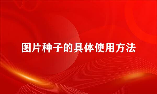 图片种子的具体使用方法