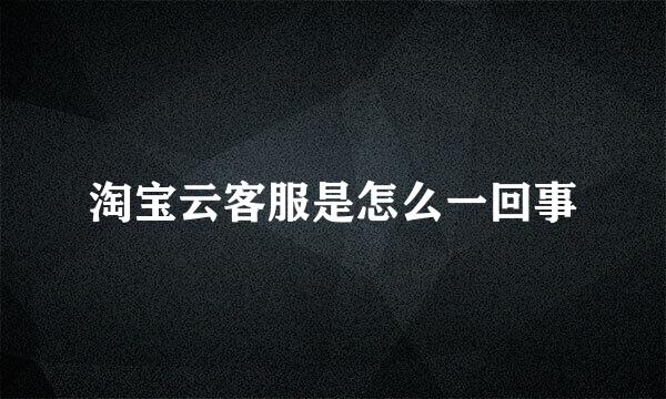 淘宝云客服是怎么一回事