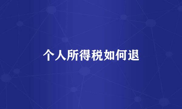 个人所得税如何退