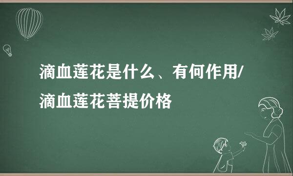 滴血莲花是什么、有何作用/滴血莲花菩提价格