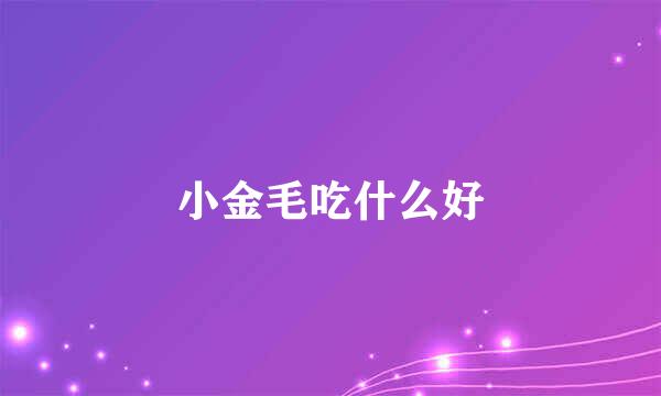 小金毛吃什么好