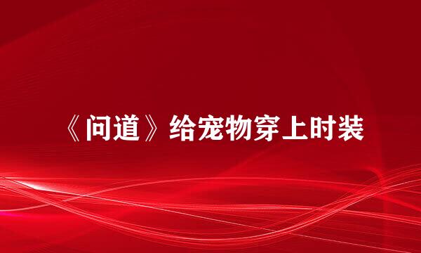 《问道》给宠物穿上时装