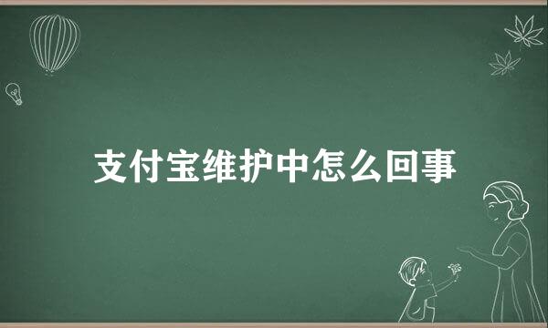 支付宝维护中怎么回事