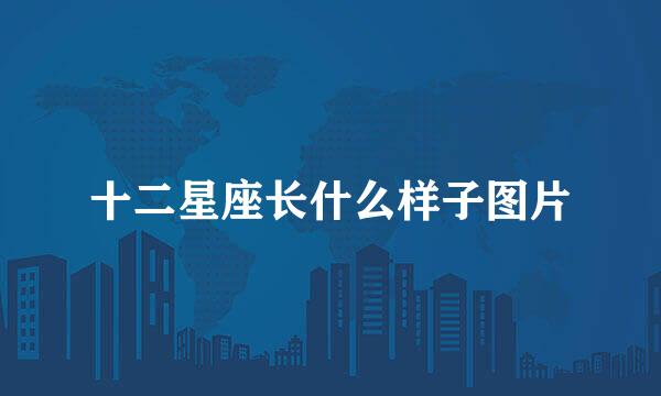 十二星座长什么样子图片