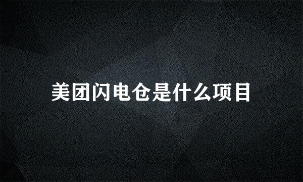 美团闪电仓是什么项目