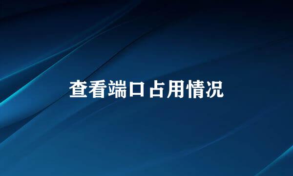 查看端口占用情况