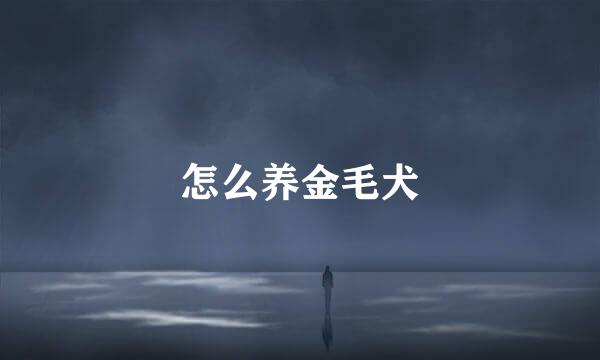 怎么养金毛犬