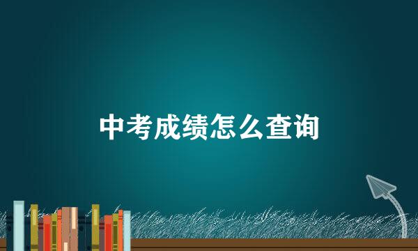 中考成绩怎么查询