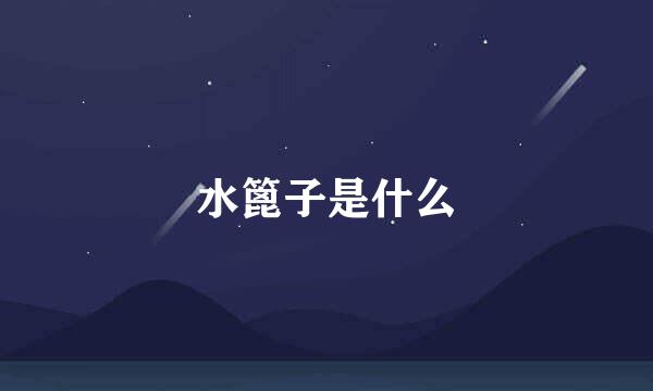 水篦子是什么