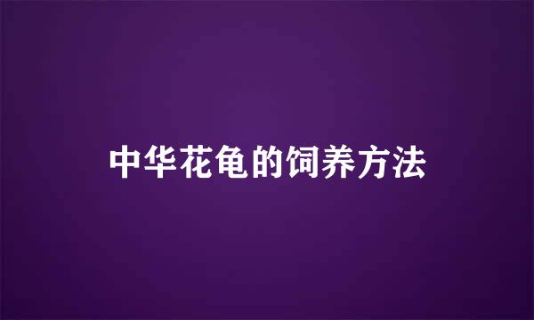 中华花龟的饲养方法