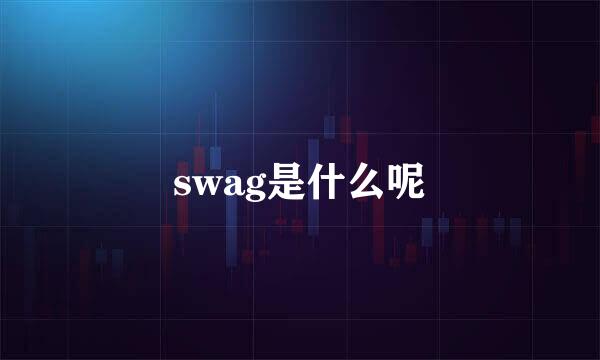 swag是什么呢