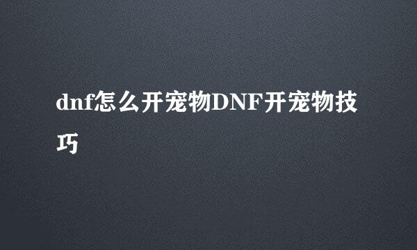 dnf怎么开宠物DNF开宠物技巧