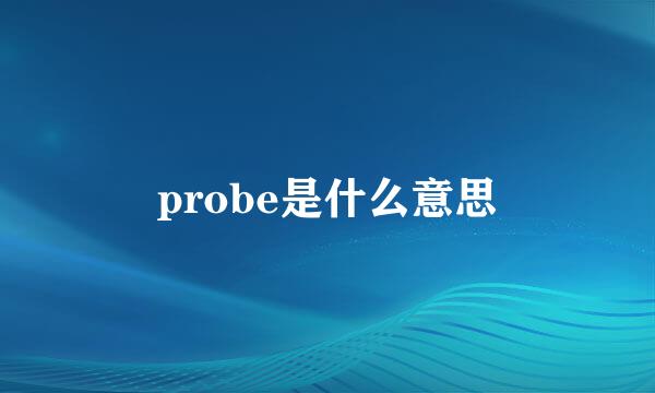 probe是什么意思