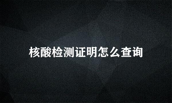 核酸检测证明怎么查询
