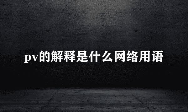 pv的解释是什么网络用语