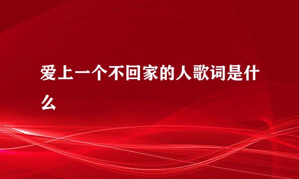 爱上一个不回家的人歌词是什么