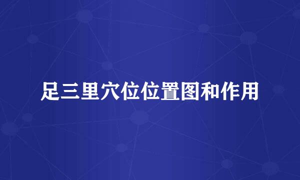 足三里穴位位置图和作用