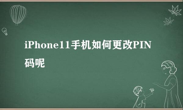 iPhone11手机如何更改PIN码呢