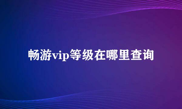 畅游vip等级在哪里查询