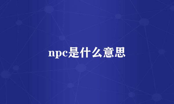 npc是什么意思