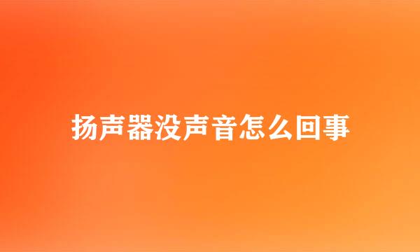 扬声器没声音怎么回事