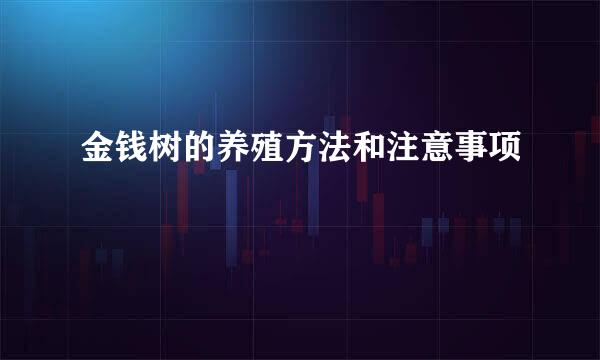 金钱树的养殖方法和注意事项