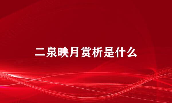 二泉映月赏析是什么