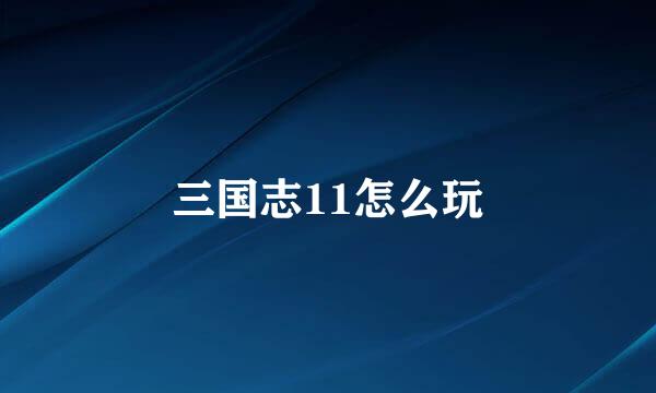 三国志11怎么玩