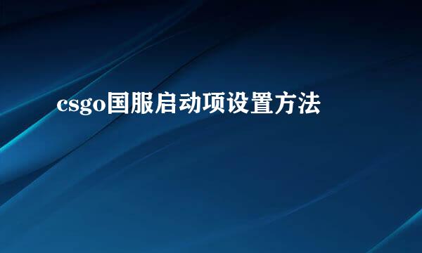 csgo国服启动项设置方法