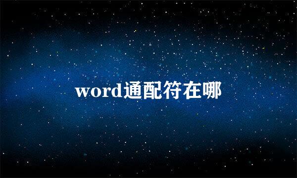 word通配符在哪