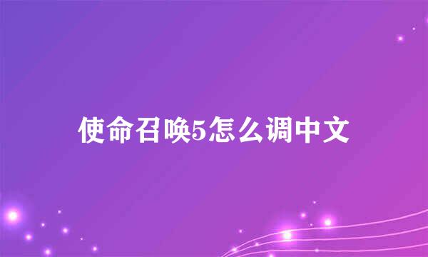 使命召唤5怎么调中文