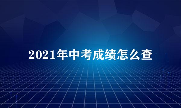 2021年中考成绩怎么查
