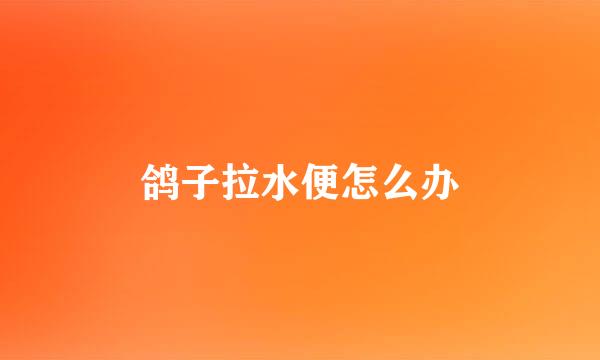 鸽子拉水便怎么办