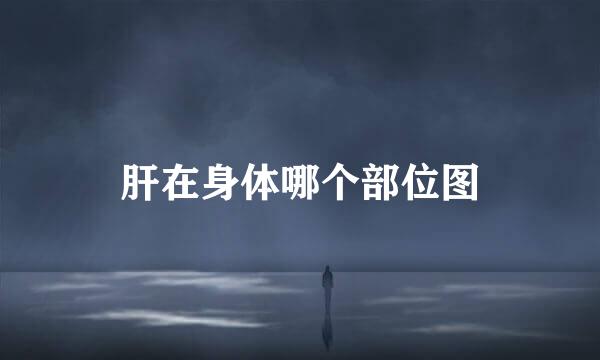肝在身体哪个部位图