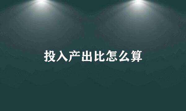 投入产出比怎么算