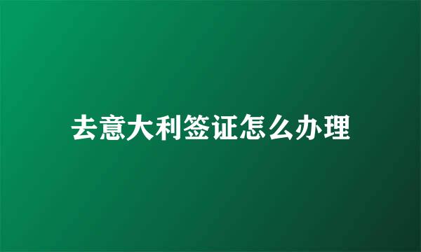 去意大利签证怎么办理