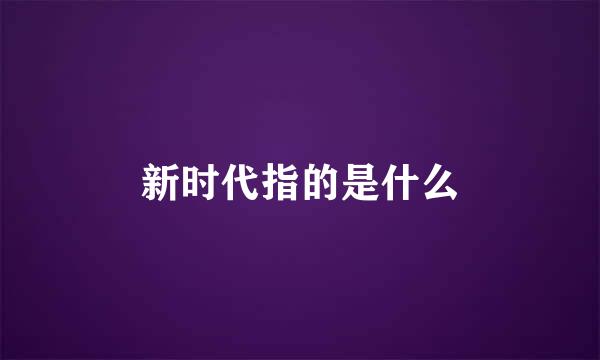 新时代指的是什么