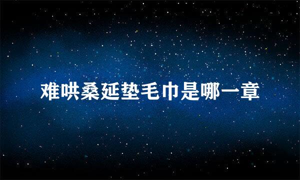 难哄桑延垫毛巾是哪一章