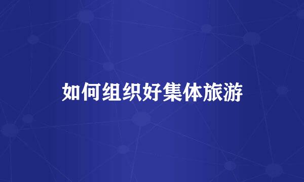 如何组织好集体旅游