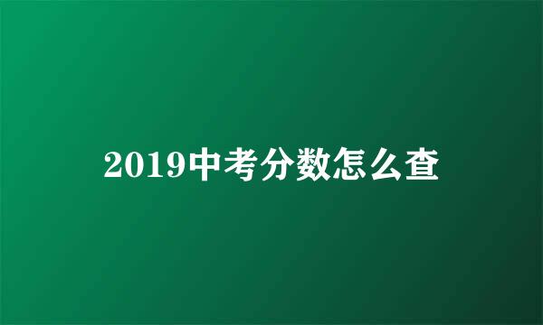 2019中考分数怎么查