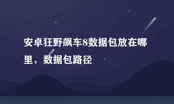 安卓狂野飙车8数据包放在哪里，数据包路径