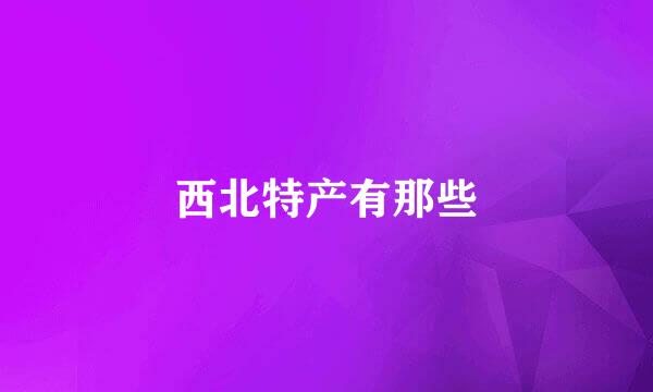 西北特产有那些