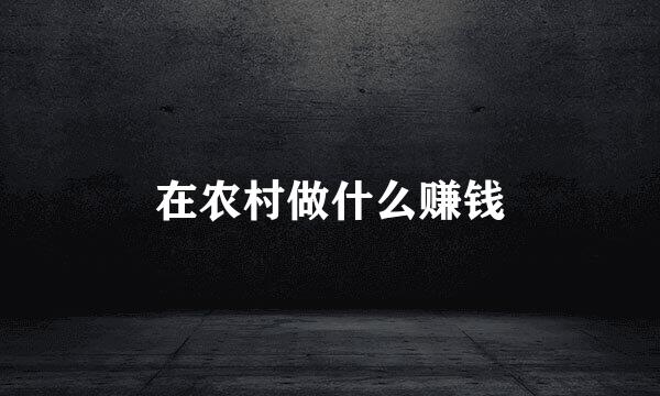 在农村做什么赚钱