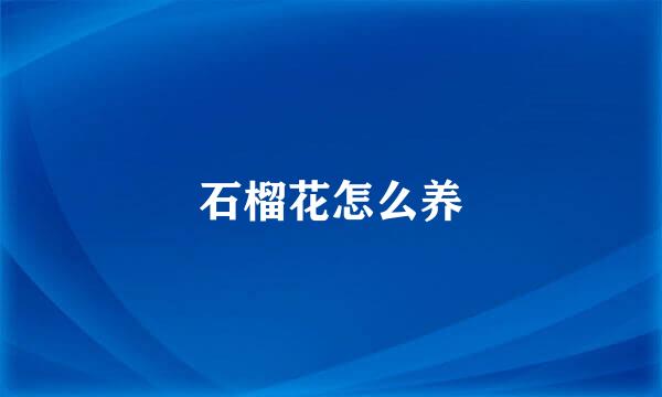 石榴花怎么养