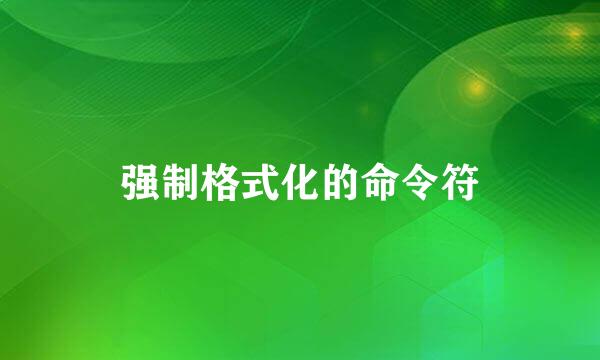 强制格式化的命令符