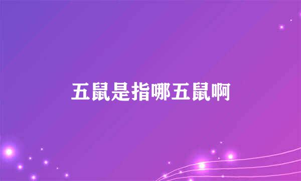 五鼠是指哪五鼠啊