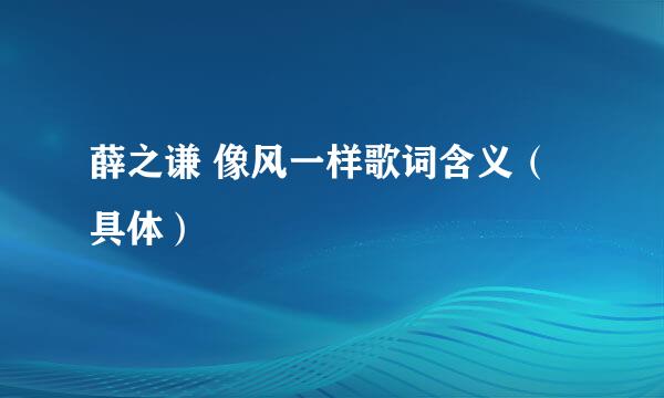 薛之谦 像风一样歌词含义（具体）