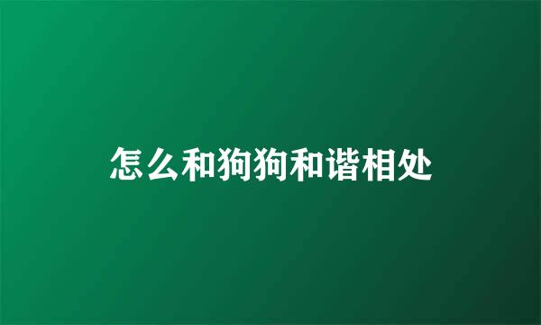怎么和狗狗和谐相处
