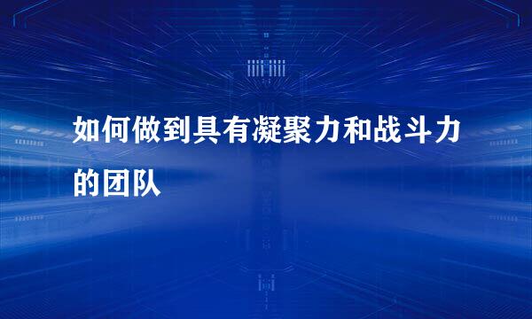 如何做到具有凝聚力和战斗力的团队