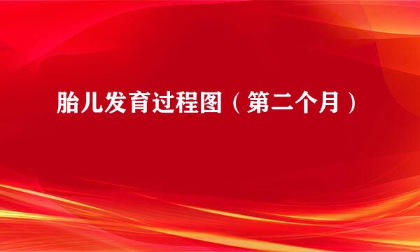 胎儿发育过程图(第二个月)